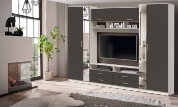 ШМЦ Вена  91.01 с зеркалом в Татарске - mebel154.com