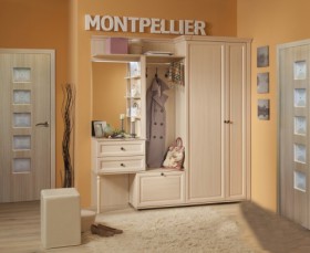 Шкаф для обуви 1 Montpellier в Татарске - mebel154.com