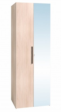 Шкаф для одежды 2-х дверный 8 Bauhaus в Татарске - mebel154.com
